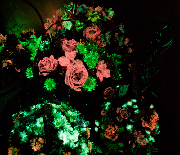 Цветы светящиеся в темноте