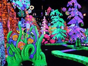 флуоресцентная краска