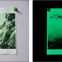 Светящаяся фотобумага